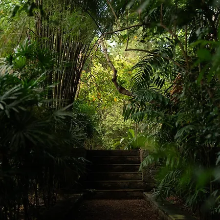 The Lush Unawatuna Exterior photo