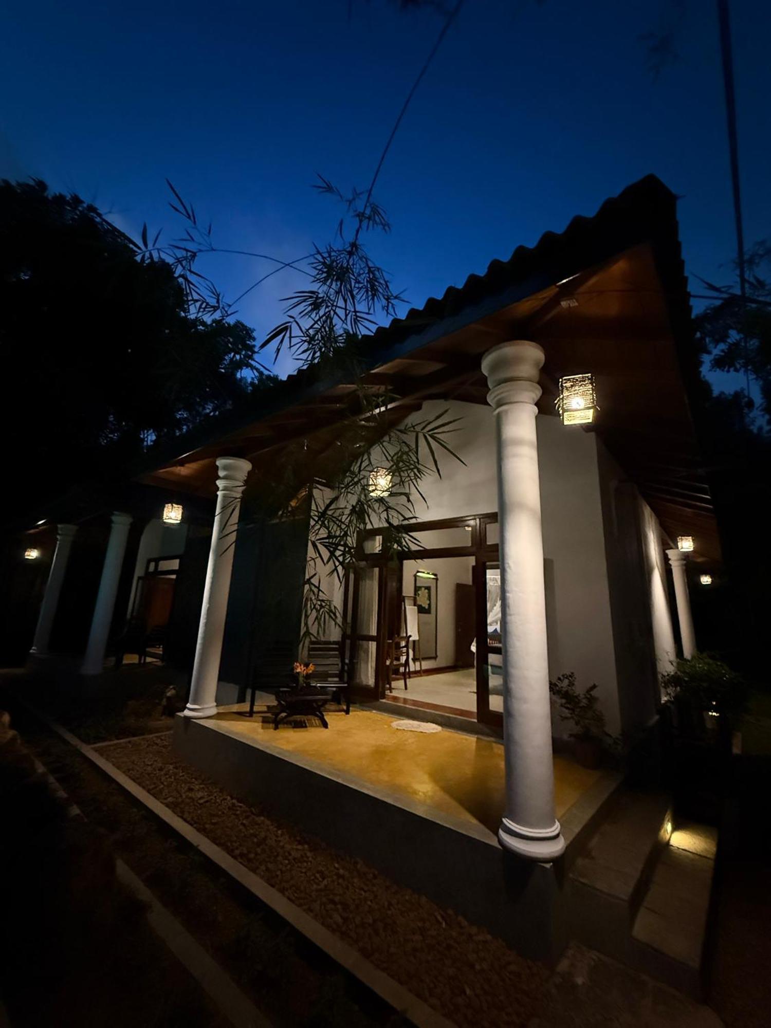 The Lush Villa