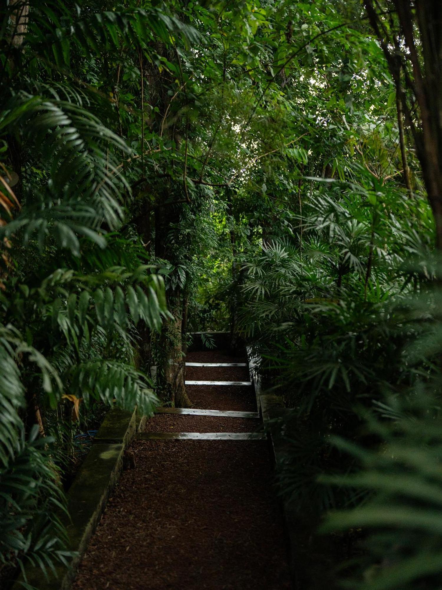 Villa The Lush *