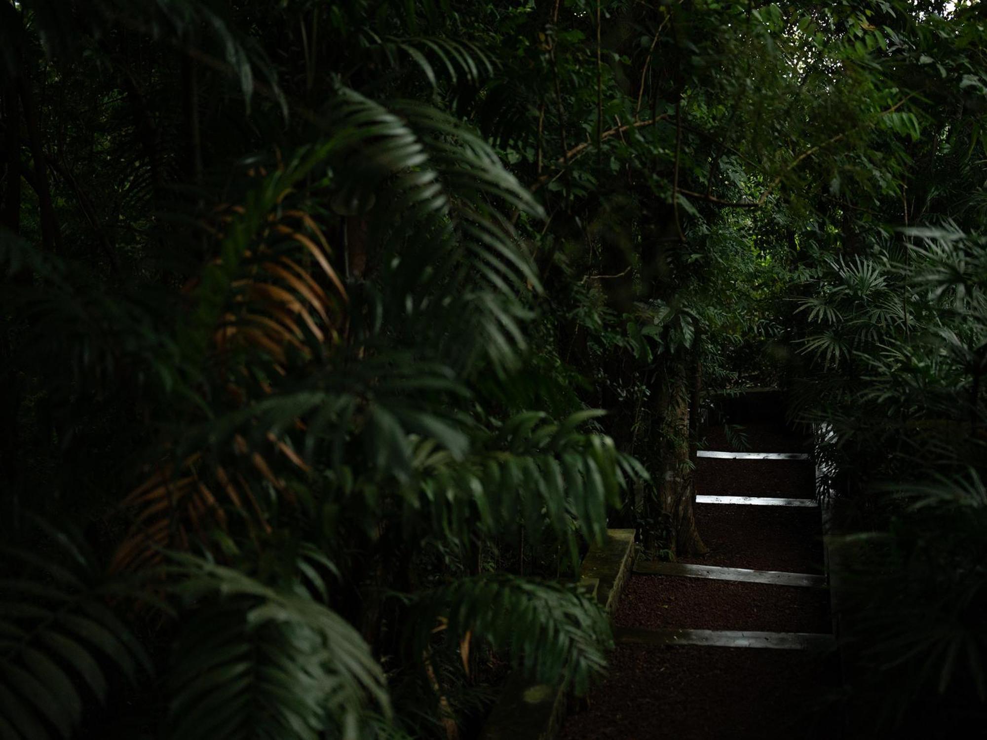 The Lush Villa Unawatuna